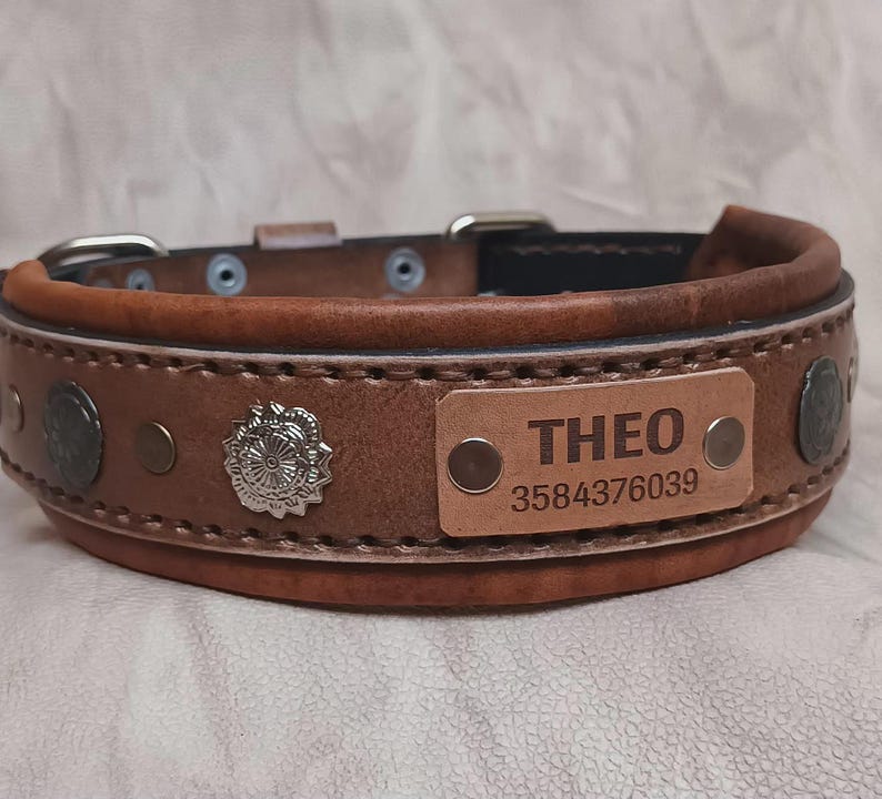 May include: A brown leather dog collar with a name tag that reads "THEO" and a phone number. The collar has silver-colored studs and a decorative silver emblem. The collar is approximately 3.8 cm wide.