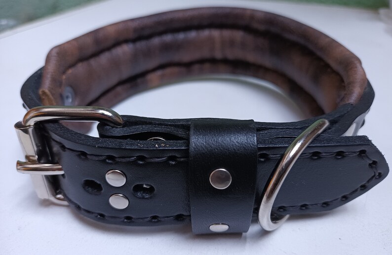 May include: A black leather dog collar with a brown leather lining. The collar has a silver buckle and a silver D-ring.