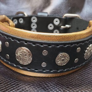 May include: Black leather dog collar with gold trim and silver decorative accents.