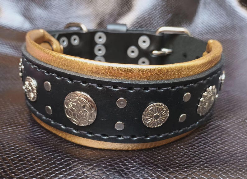 May include: Black leather dog collar with gold trim and silver decorative accents.