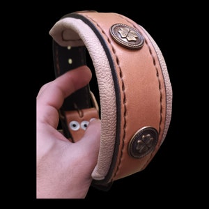 Ampio collare in doppia pelle per cani di taglia grande o media cucito a mano con rivetti in metallo nativo tipo Gaucho Qualità Premium