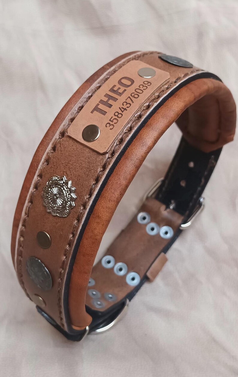 May include: A brown leather dog collar with the name "THEO" and a phone number engraved on a small rectangular patch. The collar features decorative metal studs and a silver buckle. The collar is approximately 5 cm wide.