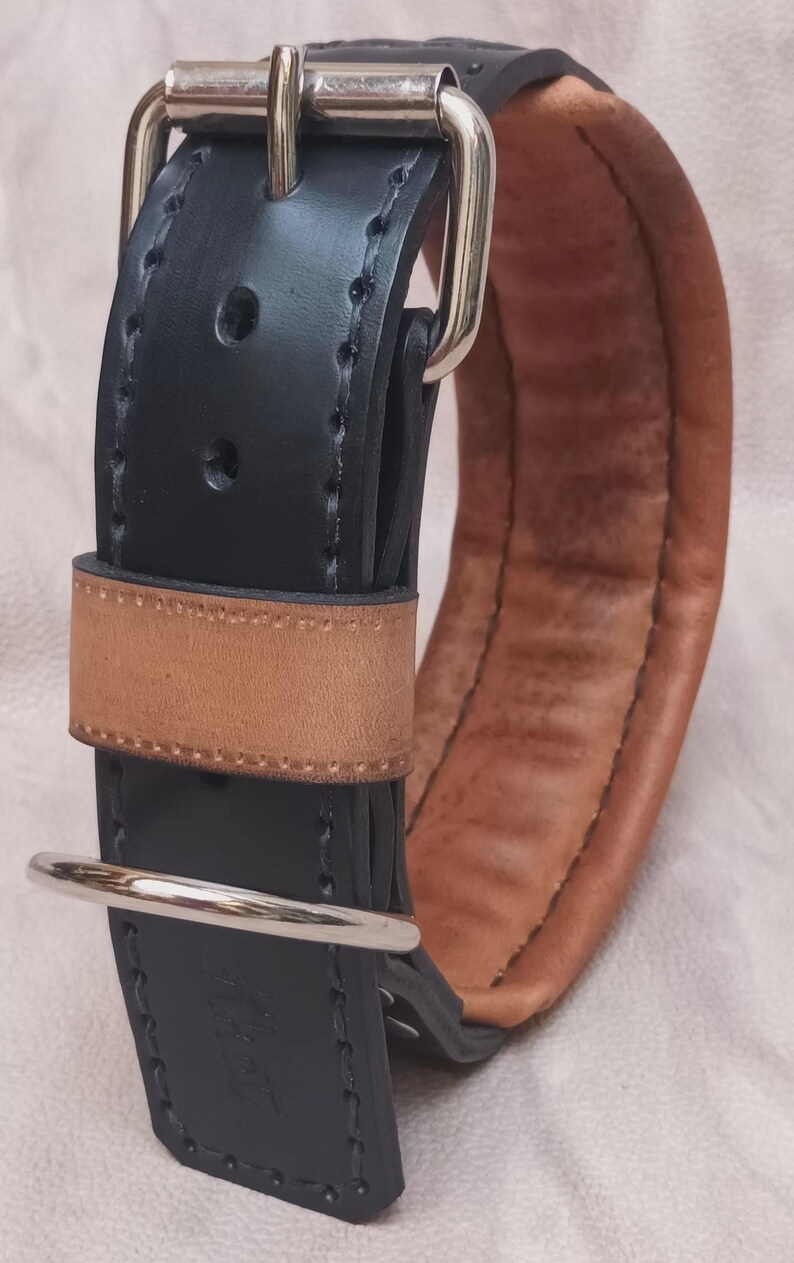 May include: A black leather dog collar with a brown leather lining and a silver buckle. The collar is stitched with white thread.