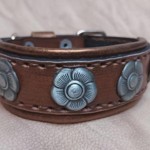 May include: A brown leather dog collar with silver flower accents. The collar has a buckle closure and is decorated with three silver flowers.