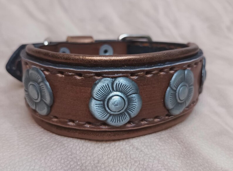 May include: A brown leather dog collar with silver flower accents. The collar has a buckle closure and is decorated with three silver flowers.