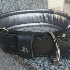 Puede incluir: Collar de perro de cuero negro con forro plateado, con hebilla y anillo en D plateados. El collar tiene dos estrellas plateadas.
