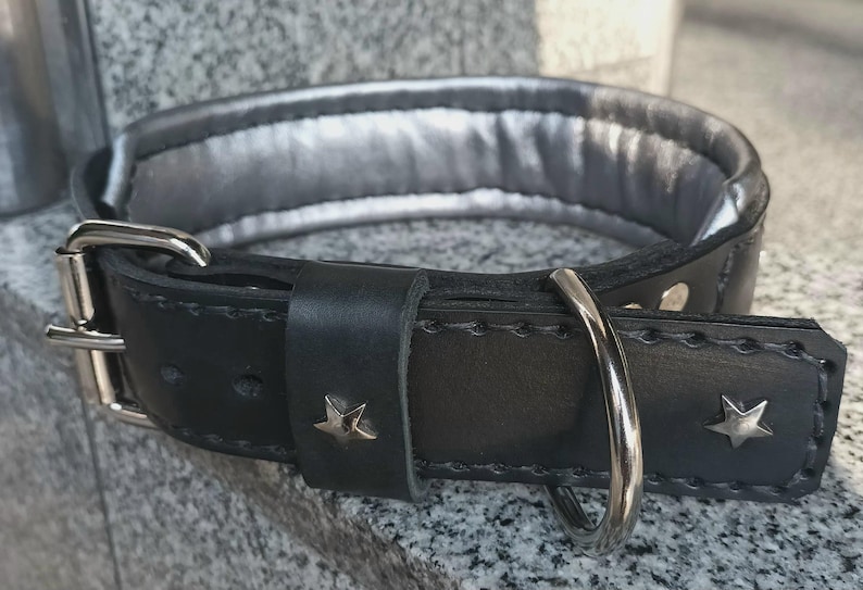 Puede incluir: Collar de perro de cuero negro con forro plateado, con hebilla y anillo en D plateados. El collar tiene dos estrellas plateadas.