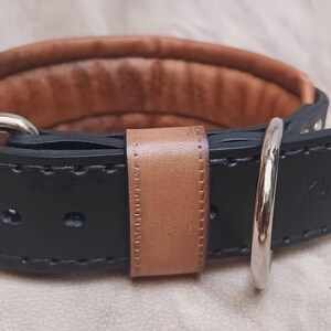 May include: A black leather dog collar with a brown leather lining and a silver buckle. The collar has a stitched design and the word "K9" is embossed on the leather.
