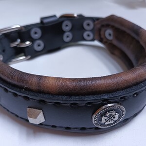 May include: Black leather dog collar with brown leather accents, silver studs, and a silver clover-shaped charm.