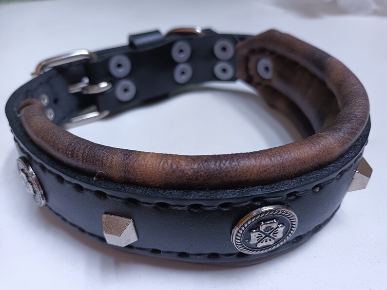 May include: Black leather dog collar with brown leather accents, silver studs, and a silver clover-shaped charm.