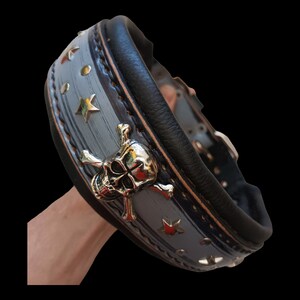 May include: A black leather dog collar with a silver skull and crossbones design. The collar is decorated with silver stars and studs.