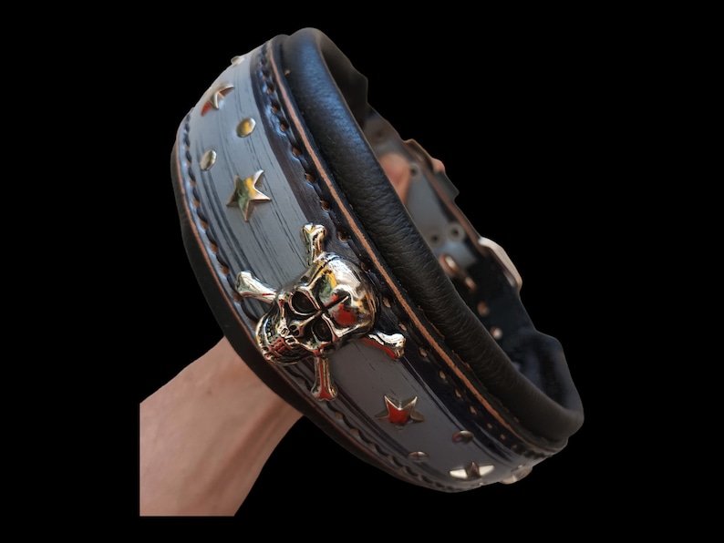 May include: A black leather dog collar with a silver skull and crossbones design. The collar is decorated with silver stars and studs.