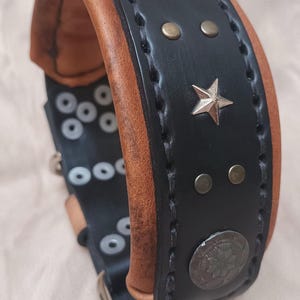 May include: Black leather dog collar with brown leather trim, silver star and round metal accents.
