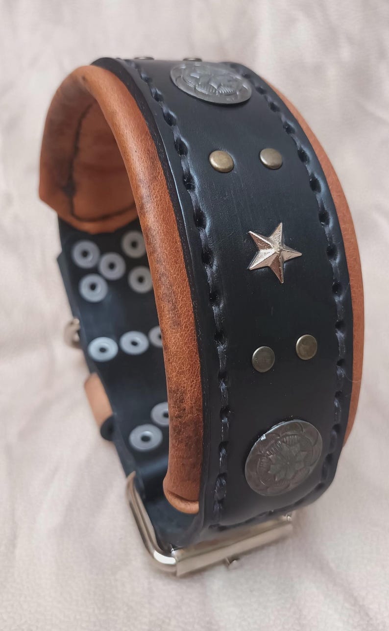 May include: Black leather dog collar with brown leather trim, silver star and round metal accents.