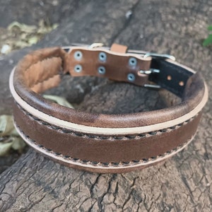 Puede incluir: Un collar de perro de cuero marrón con un interior acolchado y una hebilla plateada. El collar presenta un ribete de color más claro y está cosido con hilo negro. El cuero tiene un aspecto envejecido.