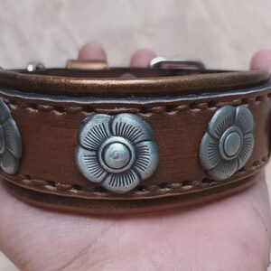 May include: A brown leather dog collar with silver flower-shaped accents. The collar has a stitched seam and a buckle closure.