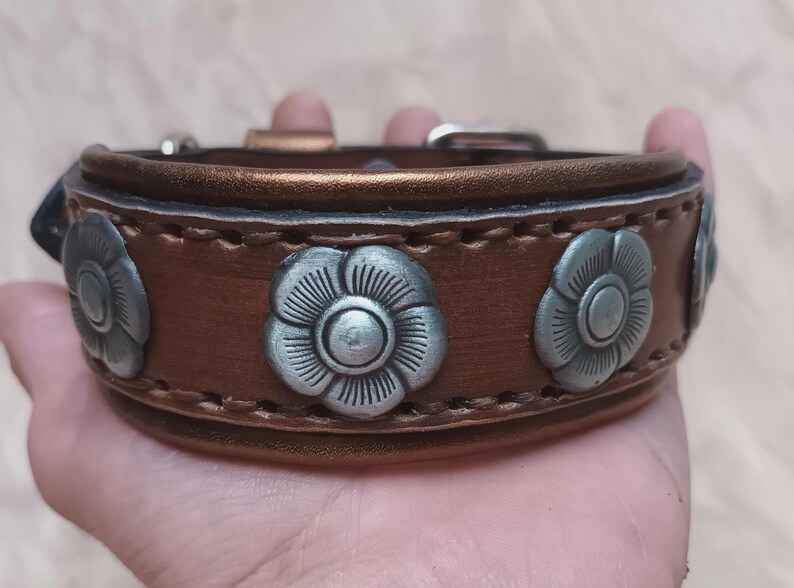 May include: A brown leather dog collar with silver flower-shaped accents. The collar has a stitched seam and a buckle closure.