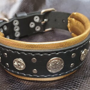 May include: Black leather dog collar with gold accents and silver metal studs. The collar has a decorative design with a stitched edge.