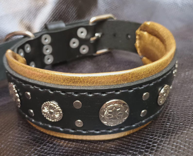 May include: Black leather dog collar with gold accents and silver metal studs. The collar has a decorative design with a stitched edge.
