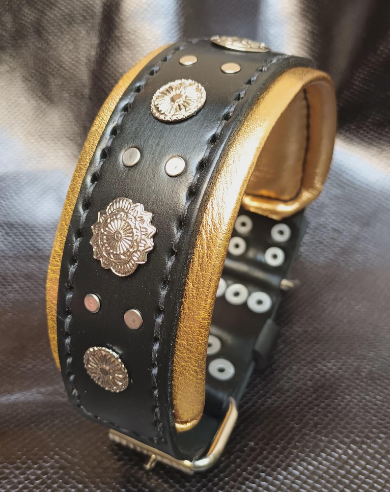 May include: Black leather dog collar with gold accents and silver metal embellishments. The collar has a buckle closure and multiple rows of stitching.