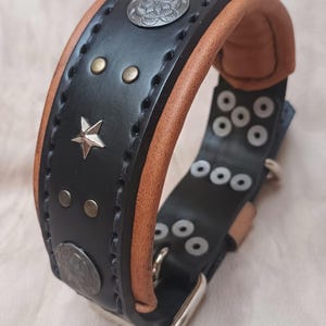 May include: Black leather dog collar with brown leather lining, silver star and metal accents.