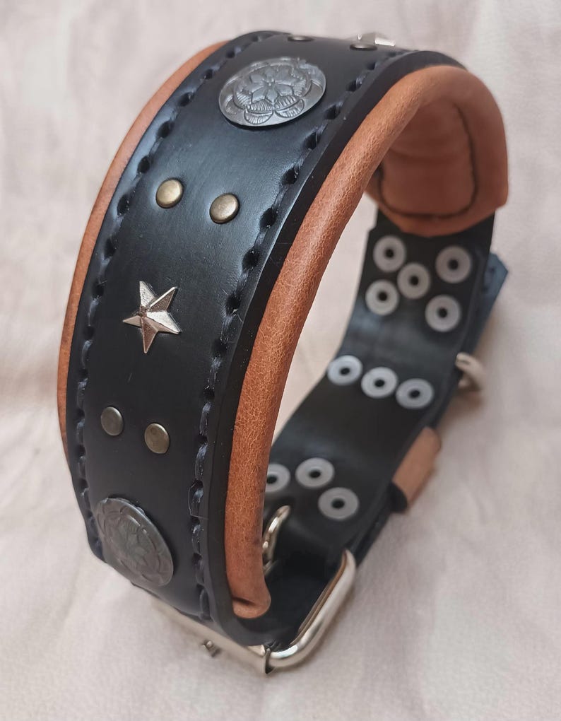 May include: Black leather dog collar with brown leather lining, silver star and metal accents.