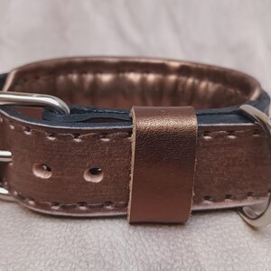 May include: A brown leather dog collar with a silver buckle and a rose gold metallic finish.