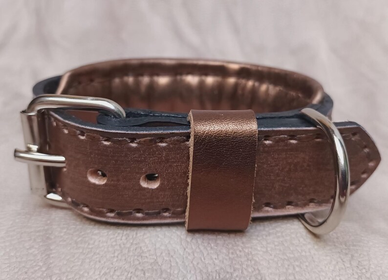 May include: A brown leather dog collar with a silver buckle and a rose gold metallic finish.