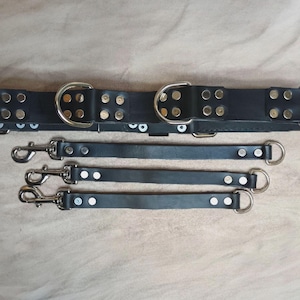 Könnte beinhalten: Schwarzes Lederhalsband für Hunde mit zwei D-Ringen und einer Reihe von Nieten. Enthält zwei passende schwarze Leder-Leinenbefestigungen mit silberfarbenen Karabinerhaken und D-Ringen. Das Halsband und die Leinen liegen auf einer neutralen Oberfläche.