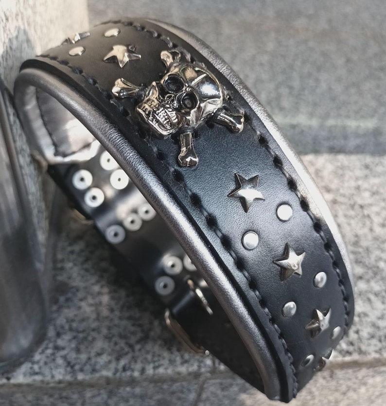 Puede incluir: Collar de perro de cuero negro con tachuelas plateadas, un dise&ntilde;o de calavera y huesos cruzados y detalles de estrellas plateadas.
