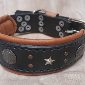 May include: Black leather dog collar with brown leather trim, silver studs, and a star design.