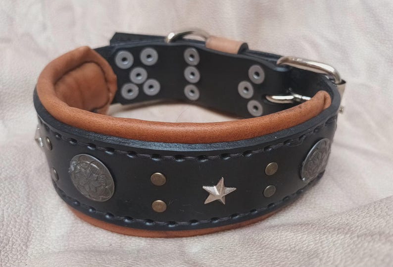May include: Black leather dog collar with brown leather trim, silver studs, and a star design.