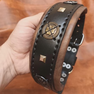 K&ouml;nnte beinhalten: Ein schwarzes Lederhundekragen mit braunen Ledereins&auml;tzen. Das Halsband hat Metallnieten und dekorative Metall-Kleeblatt-Anh&auml;nger.