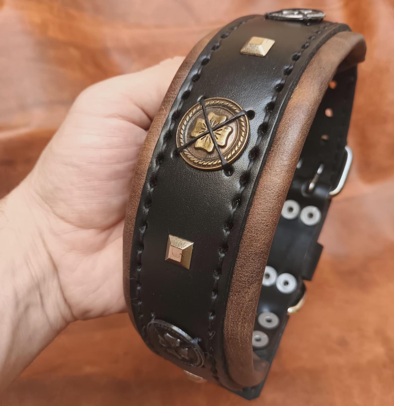 K&ouml;nnte beinhalten: Ein schwarzes Lederhundekragen mit braunen Ledereins&auml;tzen. Das Halsband hat Metallnieten und dekorative Metall-Kleeblatt-Anh&auml;nger.