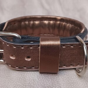 May include: A rose gold leather dog collar with a silver buckle and D-ring.