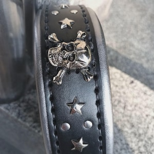 Puede incluir: Collar de perro de cuero negro con detalles de calavera y estrella plateados.