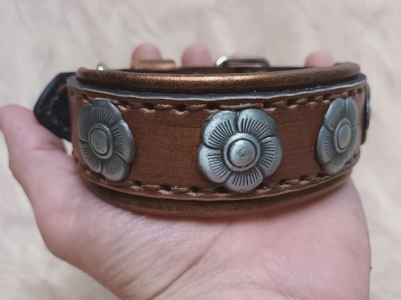 May include: A brown leather dog collar with silver flower-shaped accents. The collar has a stitched edge and a metallic sheen.