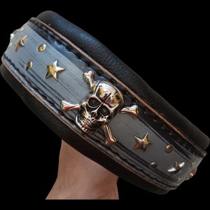 May include: A black leather dog collar with a silver skull and crossbones design. The collar is decorated with silver stars and studs.
