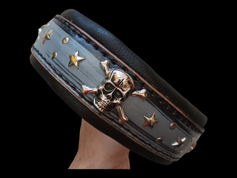 May include: A black leather dog collar with a silver skull and crossbones design. The collar is decorated with silver stars and studs.