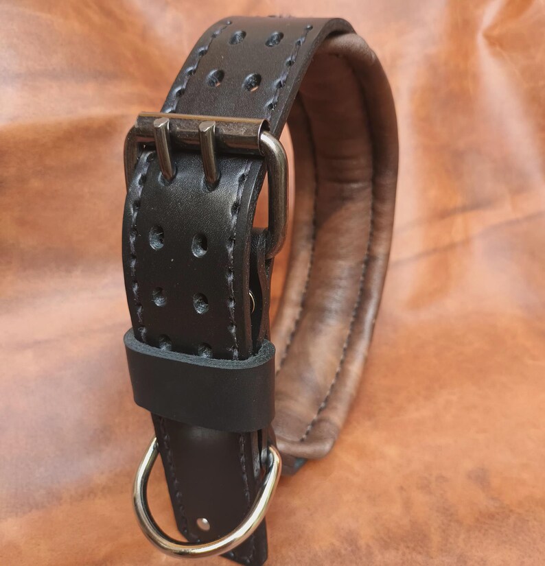 K&ouml;nnte beinhalten: Schwarzes Lederhundekragen mit gepolstertem Futter und einer silbernen Schnalle. Das Halsband hat einen D-Ring zum Anbringen einer Leine.