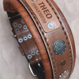 May include: Brown leather dog collar with the name "THEO" and a phone number on a rectangular patch. The collar has silver-coloured studs and decorative metal accents. The collar is approximately 5 cm wide.