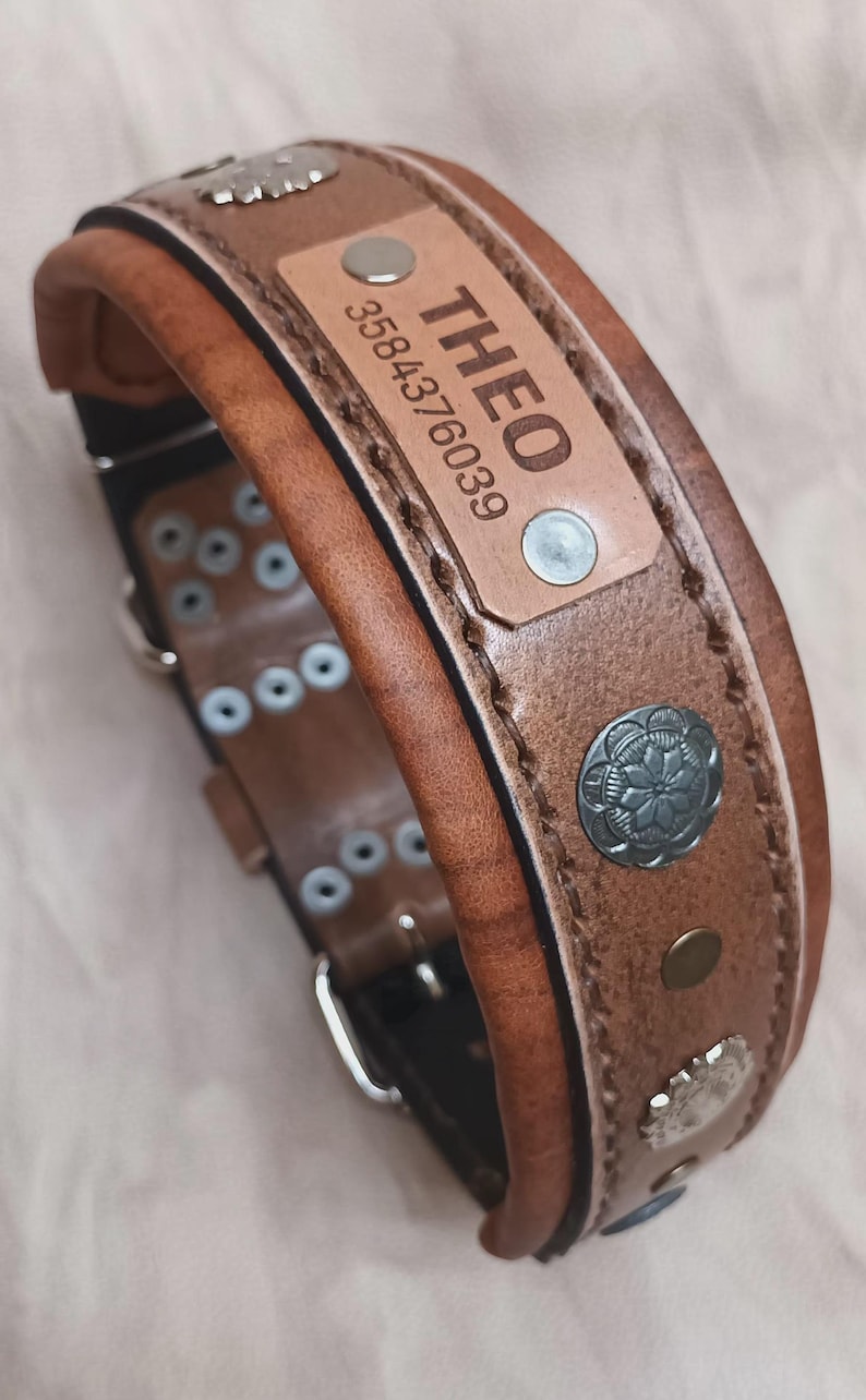 May include: Brown leather dog collar with the name "THEO" and a phone number on a rectangular patch. The collar has silver-coloured studs and decorative metal accents. The collar is approximately 5 cm wide.