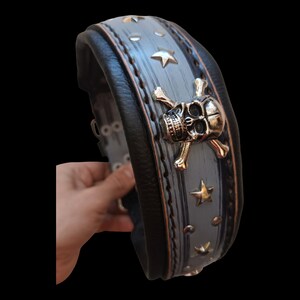 May include: A black leather dog collar with a silver skull and crossbones design. The collar is decorated with gold stars and studs.