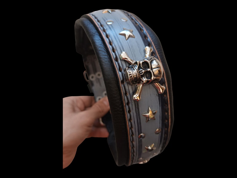 May include: A black leather dog collar with a silver skull and crossbones design. The collar is decorated with gold stars and studs.