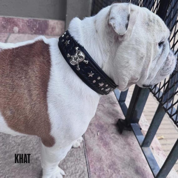 Breites Halsband mit Piratenschdel aus Metall fr groe und mittelgroe  Hunde  Verstrkt mit gepolstertem Leder  Handgenht fr krftige Hunde  (5,6 cm) - Etsy.de