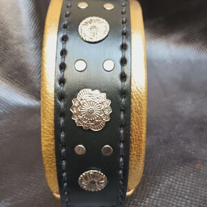 May include: A black leather dog collar with gold accents and silver studs. The collar has a decorative design with a floral pattern.