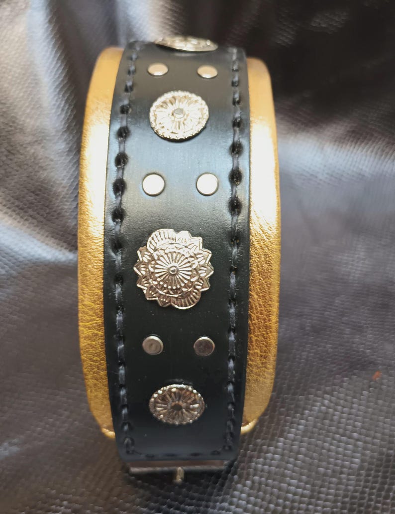 May include: A black leather dog collar with gold accents and silver studs. The collar has a decorative design with a floral pattern.