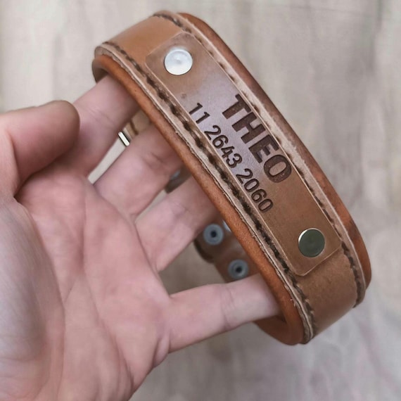 Double Leather Collar with Engraved Name-Phone ID (No Dangling Tags, No Noise) – Hand-Stitched, Padded, Reinforced, Custom-Made Collar