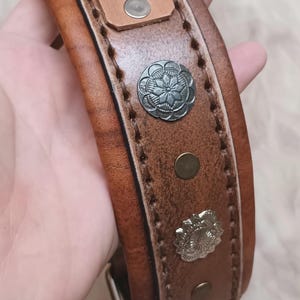 May include: A brown leather dog collar with silver-coloured studs and a name tag that reads "THEO" and a phone number. The collar is stitched with a lighter thread and has a buckle closure.