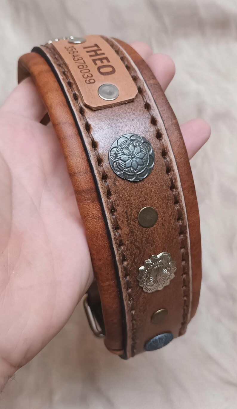 May include: A brown leather dog collar with silver-coloured studs and a name tag that reads "THEO" and a phone number. The collar is stitched with a lighter thread and has a buckle closure.